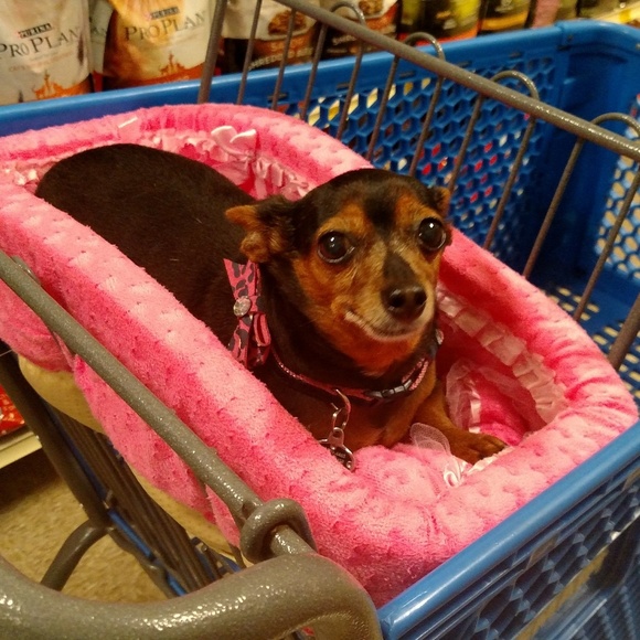 Meet your Posher, Marla - Picture 2 of 11